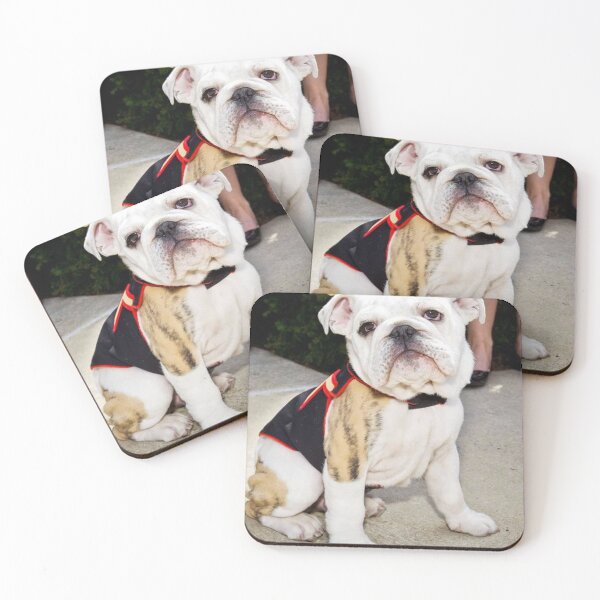Item preview, Cute Bulldog Puppy in a Decorative Vest designed and sold by VanGaldo.