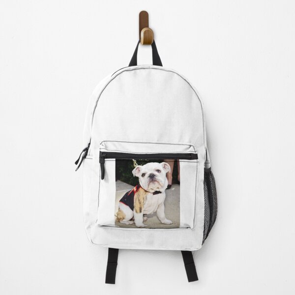 Item preview, Cute Bulldog Puppy in a Decorative Vest designed and sold by VanGaldo.