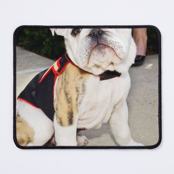 Item preview, Cute Bulldog Puppy in a Decorative Vest designed and sold by VanGaldo.
