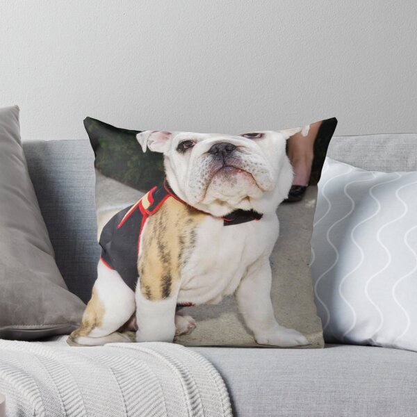 Item preview, Cute Bulldog Puppy in a Decorative Vest designed and sold by VanGaldo.