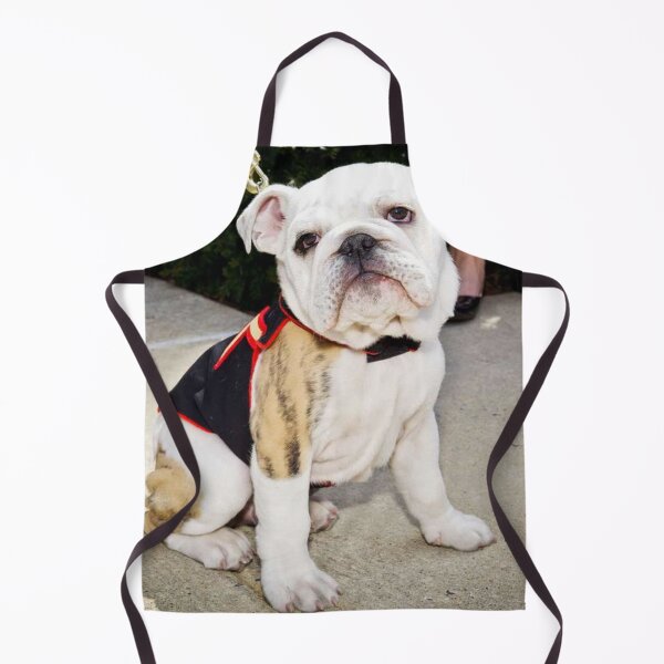Item preview, Cute Bulldog Puppy in a Decorative Vest designed and sold by VanGaldo.