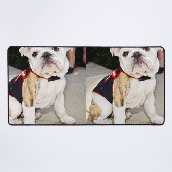 Item preview, Cute Bulldog Puppy in a Decorative Vest designed and sold by VanGaldo.