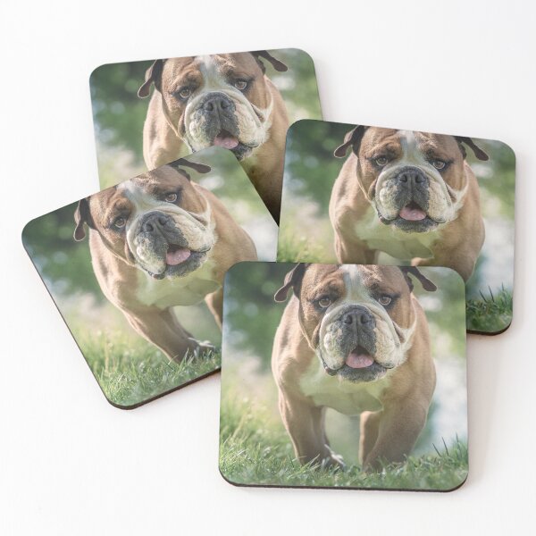 Item preview, English Bulldog Walking in the Grass designed and sold by VanGaldo.