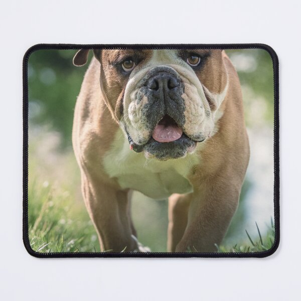 Item preview, English Bulldog Walking in the Grass designed and sold by VanGaldo.