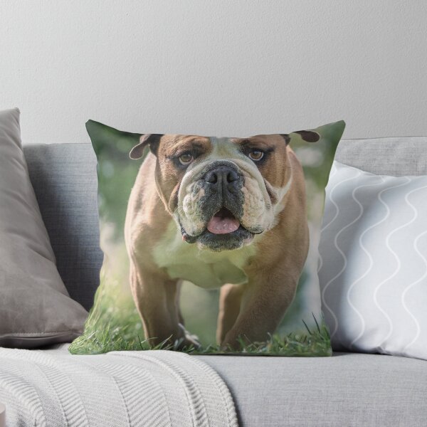 Item preview, English Bulldog Walking in the Grass designed and sold by VanGaldo.