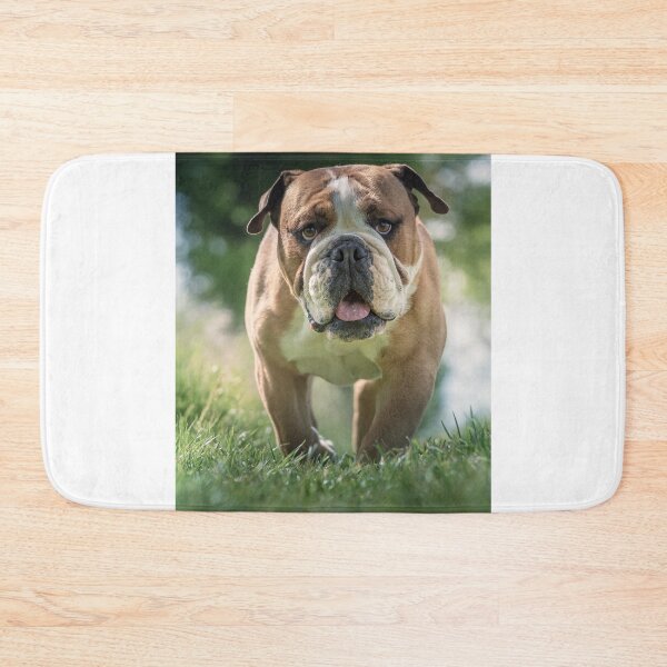 Item preview, English Bulldog Walking in the Grass designed and sold by VanGaldo.
