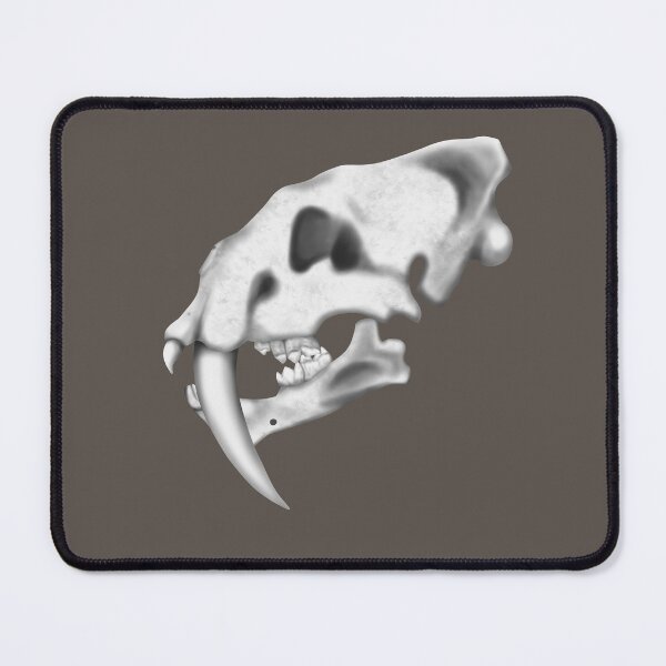 Item preview, Smilodon Skull designed and sold by JAMiron Paleoart.