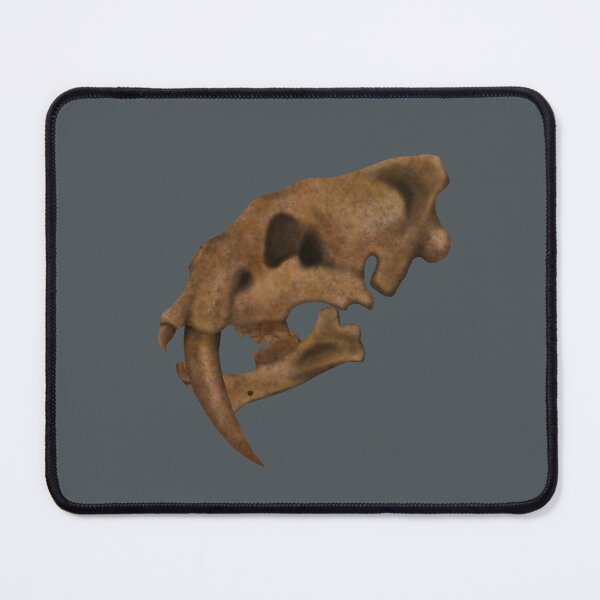 Item preview, Smilodon Skull Fossil designed and sold by JAMiron Paleoart.