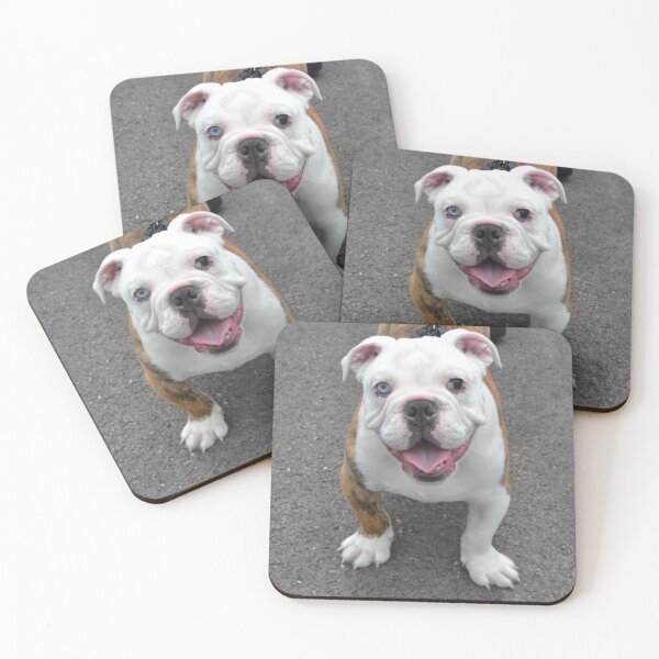 Item preview, English Bulldog Puppy with Heterochromia designed and sold by VanGaldo.