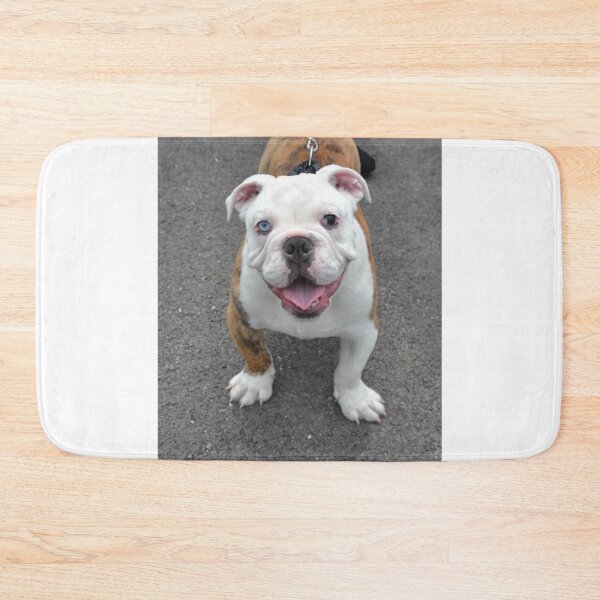 Item preview, English Bulldog Puppy with Heterochromia designed and sold by VanGaldo.