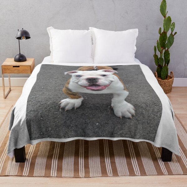 Item preview, English Bulldog Puppy with Heterochromia designed and sold by VanGaldo.