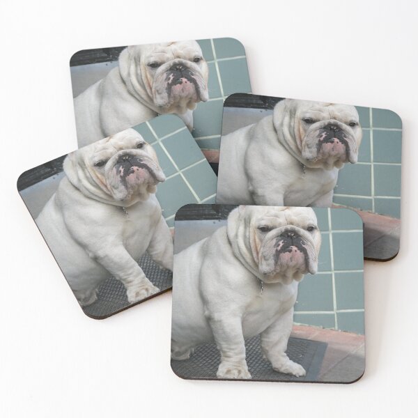 Item preview, White English Bulldog Sitting by a Doorway designed and sold by VanGaldo.