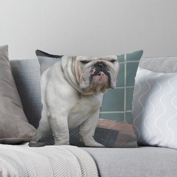 Item preview, White English Bulldog Sitting by a Doorway designed and sold by VanGaldo.