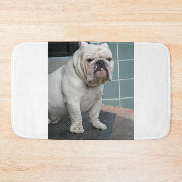Item preview, White English Bulldog Sitting by a Doorway designed and sold by VanGaldo.