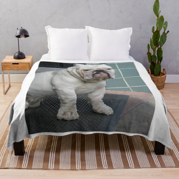 Item preview, White English Bulldog Sitting by a Doorway designed and sold by VanGaldo.