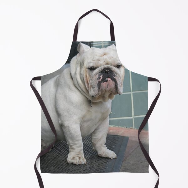Item preview, White English Bulldog Sitting by a Doorway designed and sold by VanGaldo.