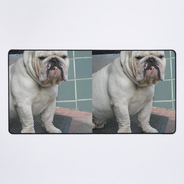Item preview, White English Bulldog Sitting by a Doorway designed and sold by VanGaldo.