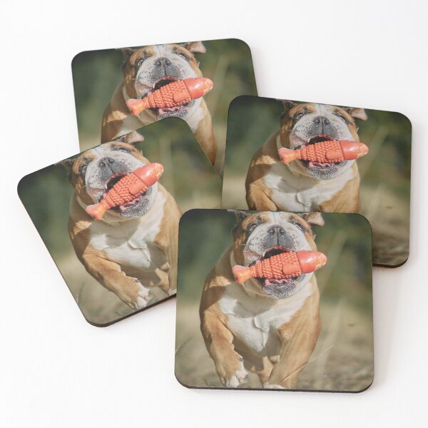 Item preview, English Bulldog Running with Orange Fish Toy designed and sold by VanGaldo.