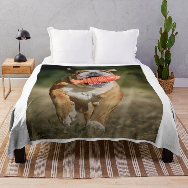 Item preview, English Bulldog Running with Orange Fish Toy designed and sold by VanGaldo.