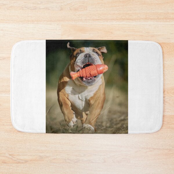 Item preview, English Bulldog Running with Orange Fish Toy designed and sold by VanGaldo.