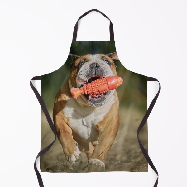 Item preview, English Bulldog Running with Orange Fish Toy designed and sold by VanGaldo.