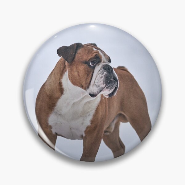 Item preview, English Bulldog Standing Proudly in the Snow designed and sold by VanGaldo.