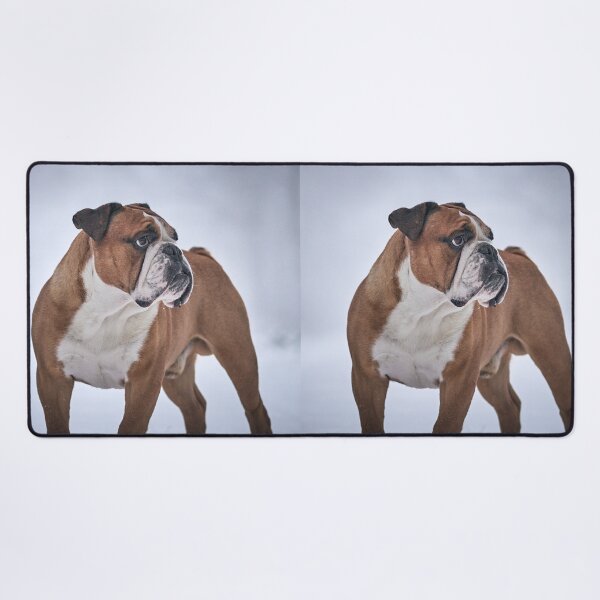 Item preview, English Bulldog Standing Proudly in the Snow designed and sold by VanGaldo.