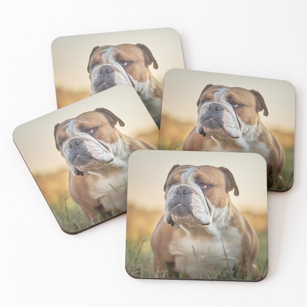 Item preview, English Bulldog Portrait at Sunset designed and sold by VanGaldo.