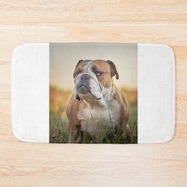 Item preview, English Bulldog Portrait at Sunset designed and sold by VanGaldo.