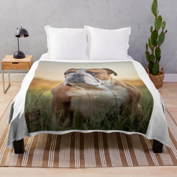 Item preview, English Bulldog Portrait at Sunset designed and sold by VanGaldo.