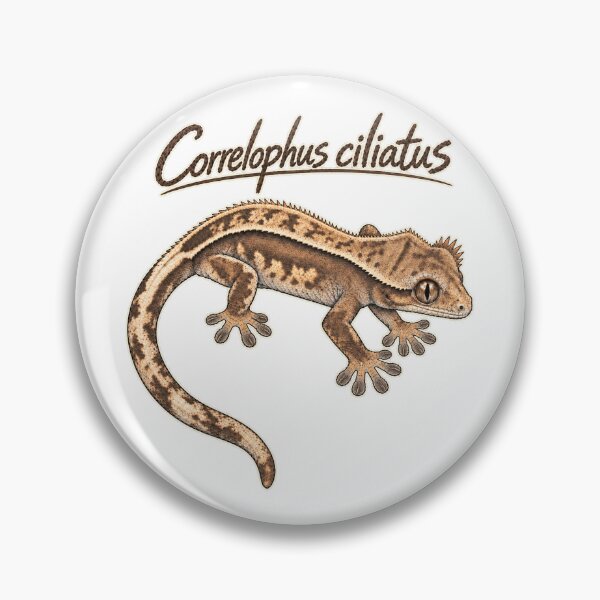 Item preview, Crested Gecko Scientific Sketch – Correlophus ciliatus designed and sold by threadandfangs.