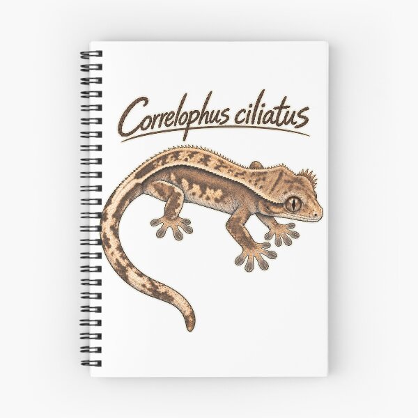 Item preview, Crested Gecko Scientific Sketch – Correlophus ciliatus designed and sold by threadandfangs.