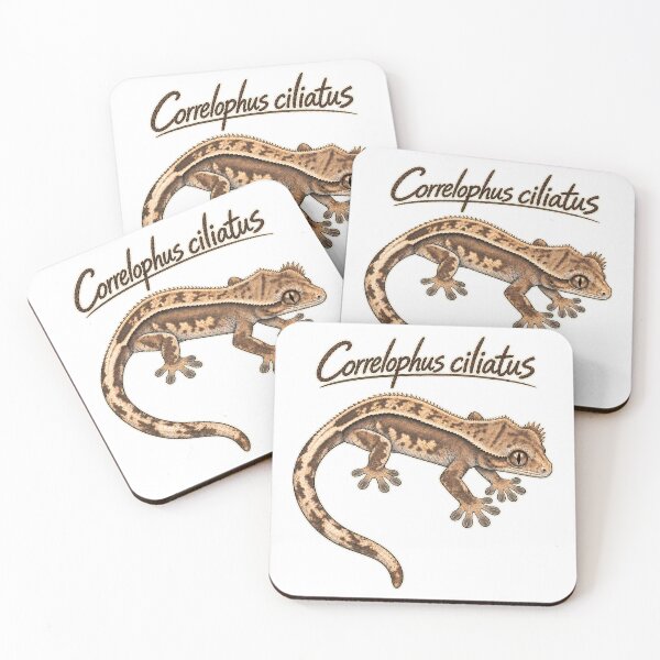 Item preview, Crested Gecko Scientific Sketch – Correlophus ciliatus designed and sold by threadandfangs.