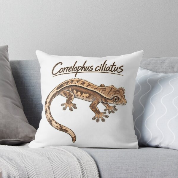 Item preview, Crested Gecko Scientific Sketch – Correlophus ciliatus designed and sold by threadandfangs.