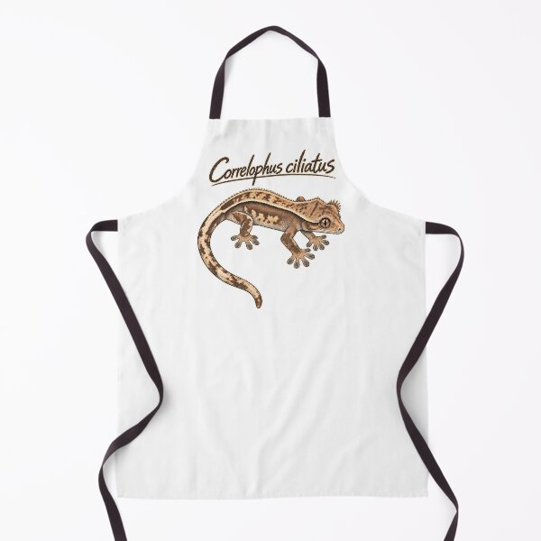 Item preview, Crested Gecko Scientific Sketch – Correlophus ciliatus designed and sold by threadandfangs.