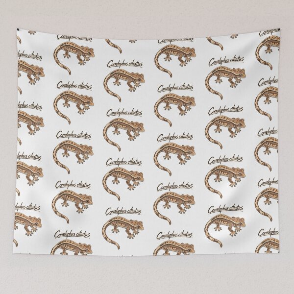 Item preview, Crested Gecko Scientific Sketch – Correlophus ciliatus designed and sold by threadandfangs.