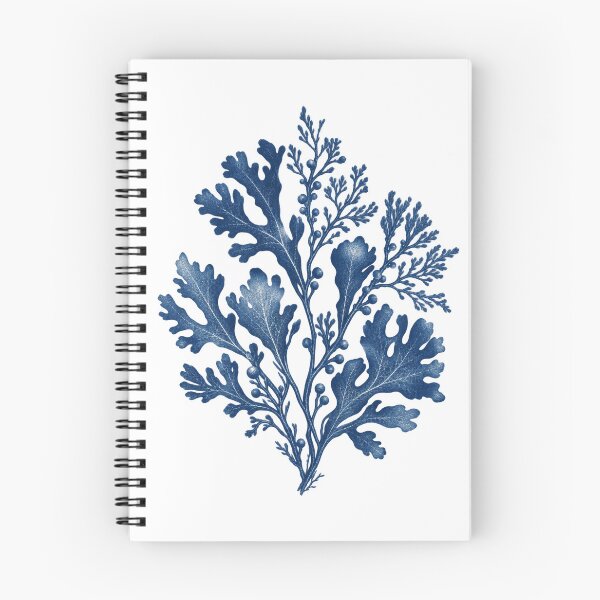 Item preview, Cyanotype Botanical Specimen Art – Vintage Indigo Nature Study designed and sold by Georain.