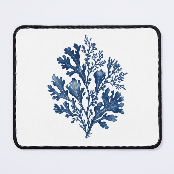 Item preview, Cyanotype Botanical Specimen Art – Vintage Indigo Nature Study designed and sold by Georain.