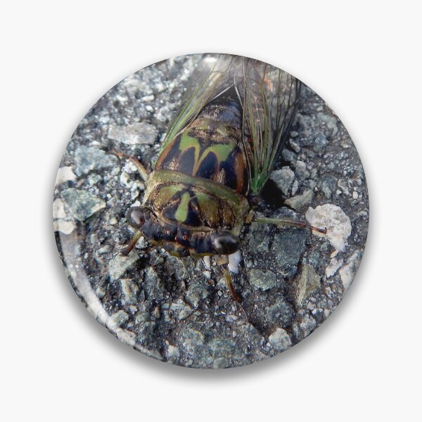 Item preview, Late Summer Cicadia designed and sold by gistinker.