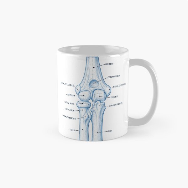 Item preview, Anatomy Elbow Forearm Blueprint Physical Therapy Sticker designed and sold by isokinetic.