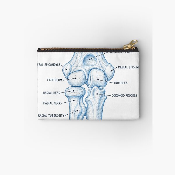 Item preview, Anatomy Elbow Forearm Blueprint Physical Therapy Sticker designed and sold by isokinetic.