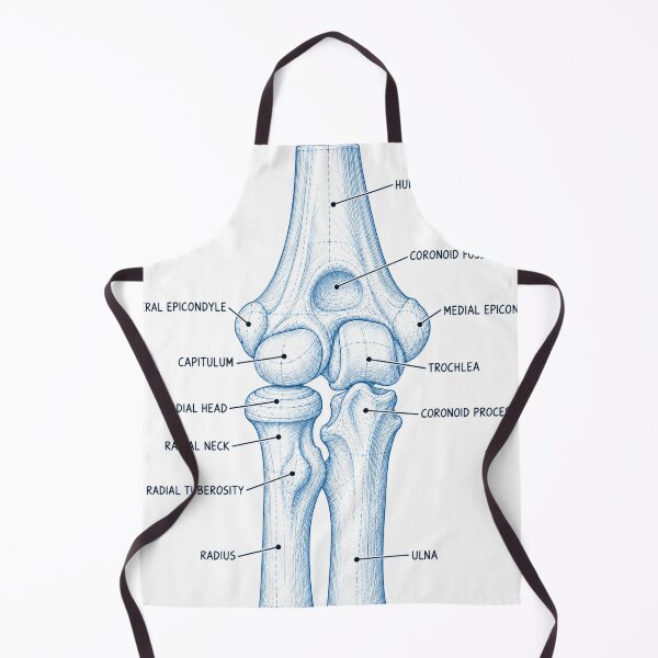 Item preview, Anatomy Elbow Forearm Blueprint Physical Therapy Sticker designed and sold by isokinetic.