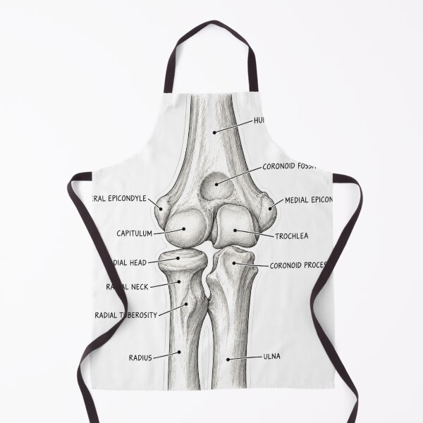 Item preview, Anatomy Elbow Forearm Physical Therapy Sticker designed and sold by isokinetic.