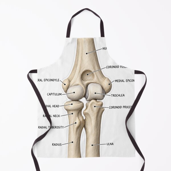 Item preview, Anatomy Elbow Forearm Clay Physical Therapy Sticker designed and sold by isokinetic.