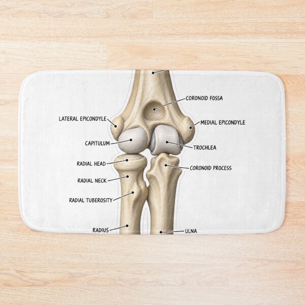 Item preview, Anatomy Elbow Forearm 3D Physical Therapy Sticker designed and sold by isokinetic.