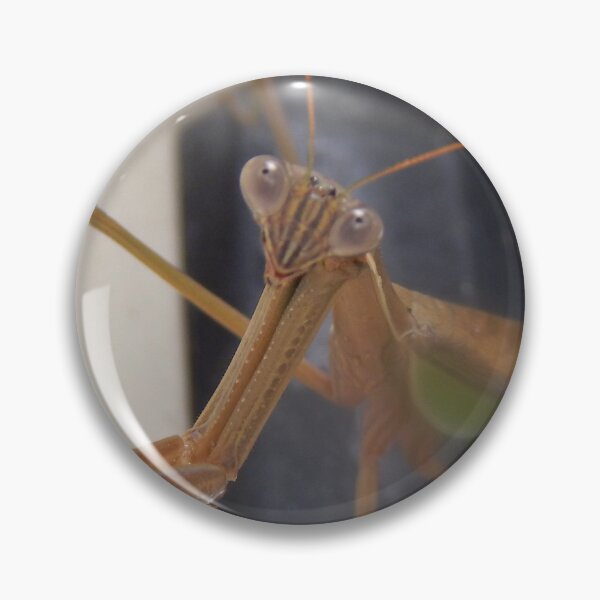 Item preview, Preying Mantis at Rest designed and sold by gistinker.