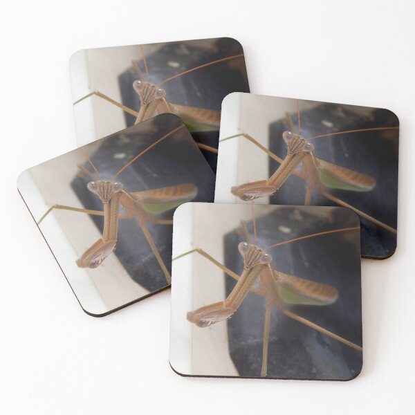 Item preview, Preying Mantis at Rest designed and sold by gistinker.