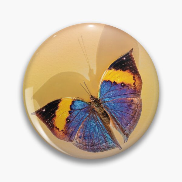 Item preview, Indian Leafwing Butterfly  designed and sold by Kay Brewer.