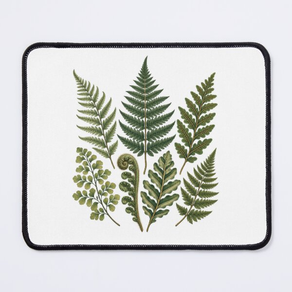 Item preview, Fern Identification Collection – Vintage Botanical Frond Study designed and sold by Georain.