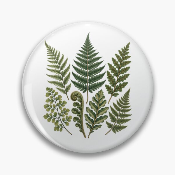 Item preview, Fern Identification Collection – Vintage Botanical Frond Study designed and sold by Georain.